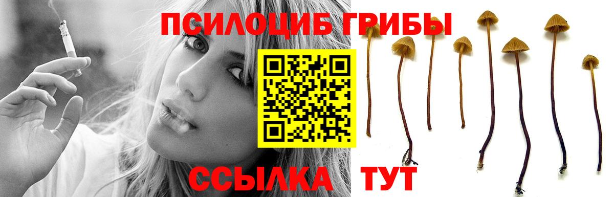 Галлюциногенные грибы Psilocybe  Вход с VPN  Тара 